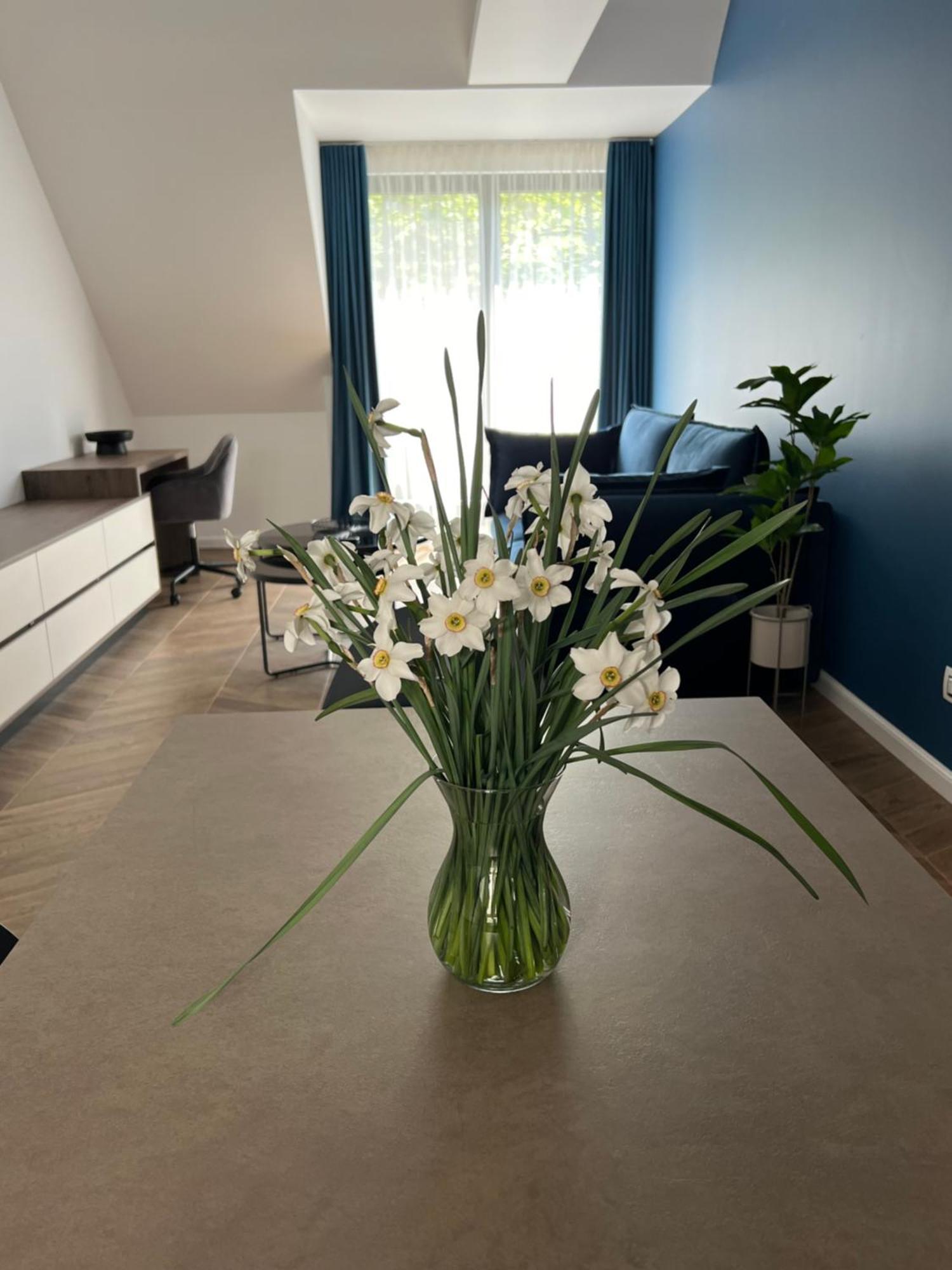 Apartment Poshspot Cluj-Napoca